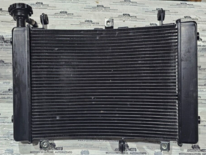 radiatore acqua QJ MOTOR srt 800 279126060090 radiator