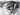 Parafango anteriore yamaha xsr 700 B34F151100P0