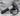 Bobina accensione ducati desertx 38010221A